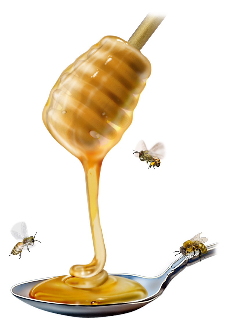 A spoonful of Honey