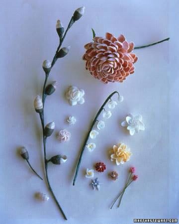 DIY: Seashells Inspiration!!  😀