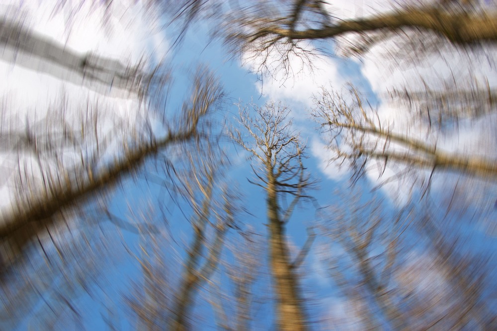 Dizziness or fainting: Many women get dizzy or faint when they're pregnant due to the plus amount of hormones. Try to not stand for long and drink water and carry a snack. 