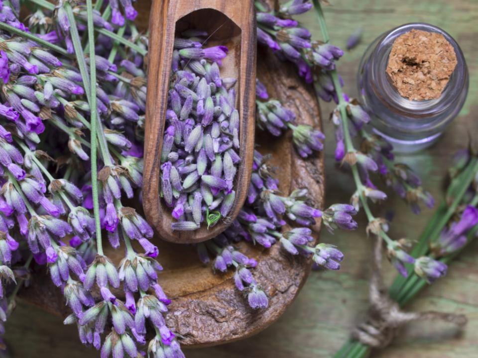 Lavender has a relaxing and beautiful aroma. Soaking in lavender will provide a relaxing and calming effect.