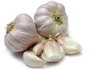 Garlic has been used successfully in the treatment of acne. Rub raw garlic on the affected skin several times a day, it will help to remove the scars. Chronic forms of acne are also healed by this method.