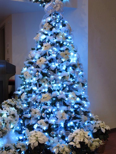 Beautiful Christmas Tree Themes!! 