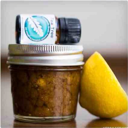 2. Tea Tree and Lemon Scrub

This scrub will keep you feeling refreshed with the scent of lemon combined with the pine-like smell of tea tree oil. The lemon acts as an astringent for the skin, and the tea tree oil can help with acne and redness.