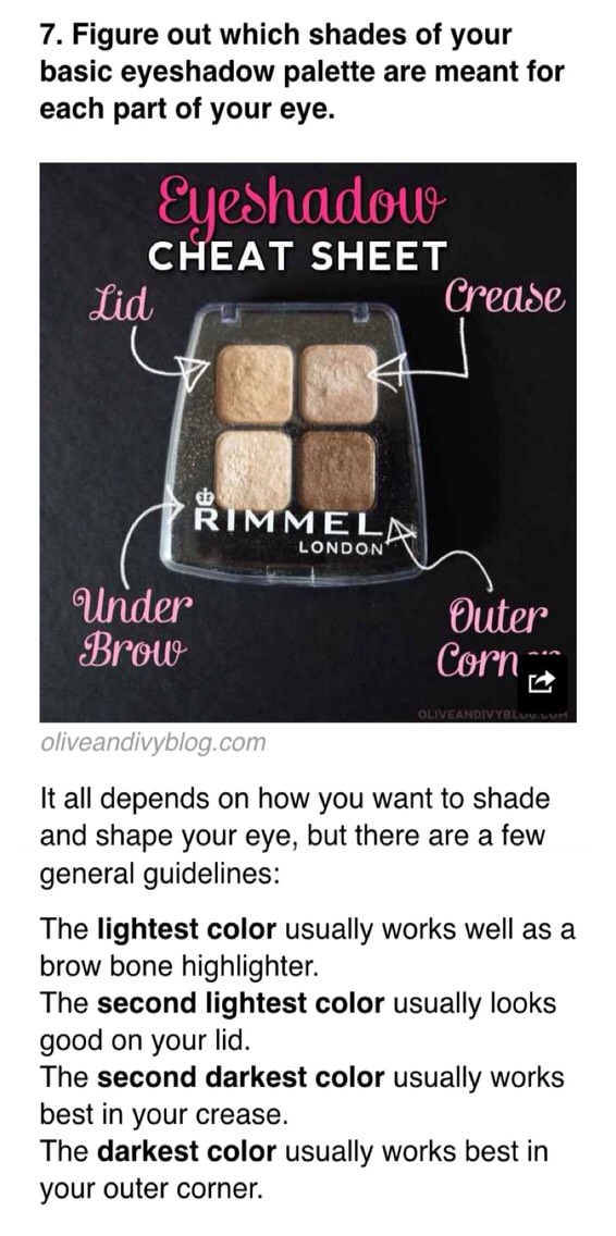 19 Eyeshadow Basics Everyone Should Know 👀