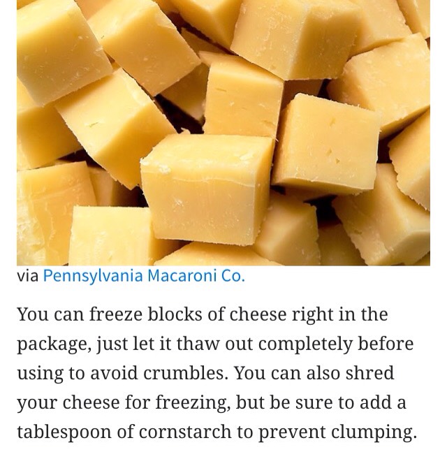 Cheese
