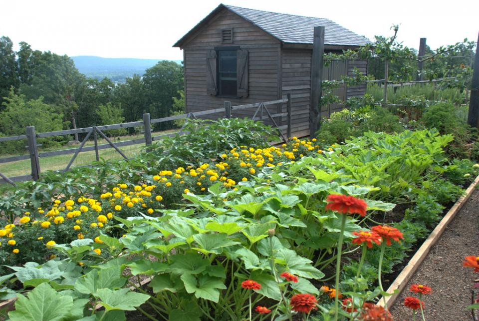 Seasons For Home-grown Vegetables