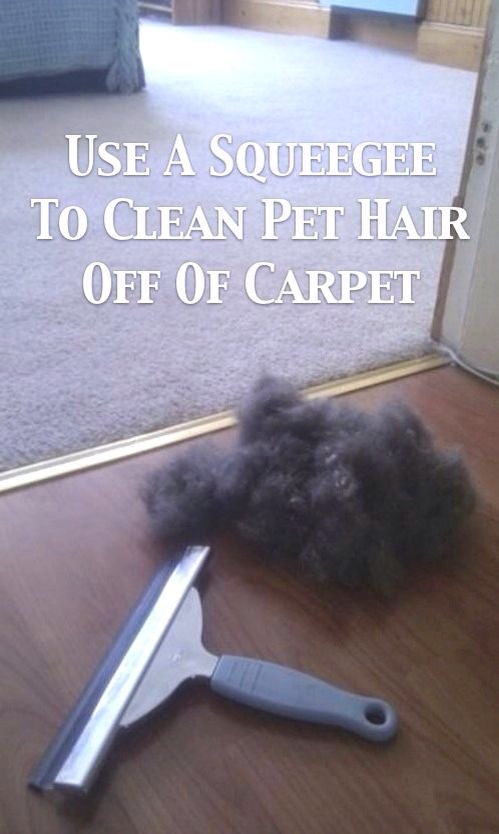 9. Squeegee hair picker upper

Use a squeegee to wipe hair off of the carpet.