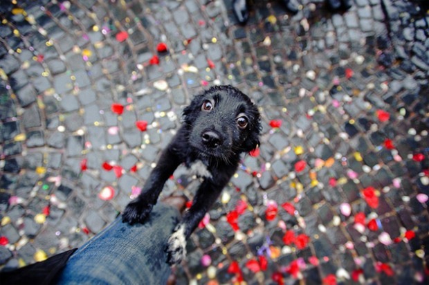 Beautiful Photography