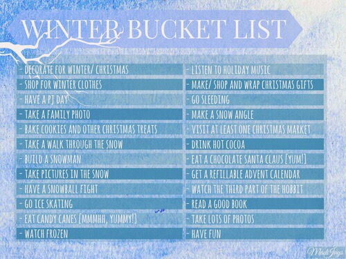 WINTER BUCKET LIST|2015-16