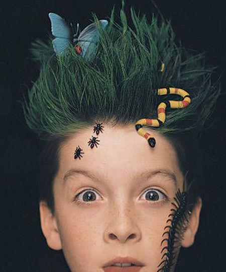 Crazy Hair Day Ideas