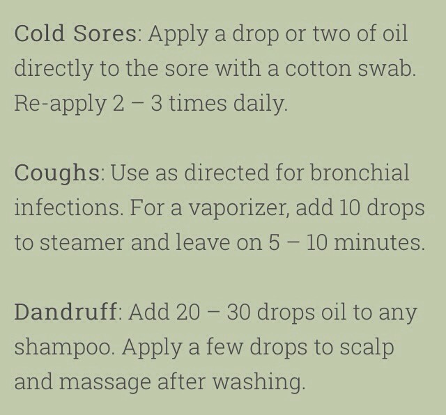 💥75 Amazing Tea Tree Oil Uses💥