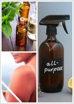 🌱Helps heal + soothe sunburns.
🌿Heals skin infections naturally.
🍃Relieves itchiness from rashes as well as helps reduce rashes.
🌱Can be used as an all-purpose cleaner: Fill a "glass" spray bottle with 1-2 tsp. of tea tree oil + rest of the bottle with water.
🌿Treats acne.
