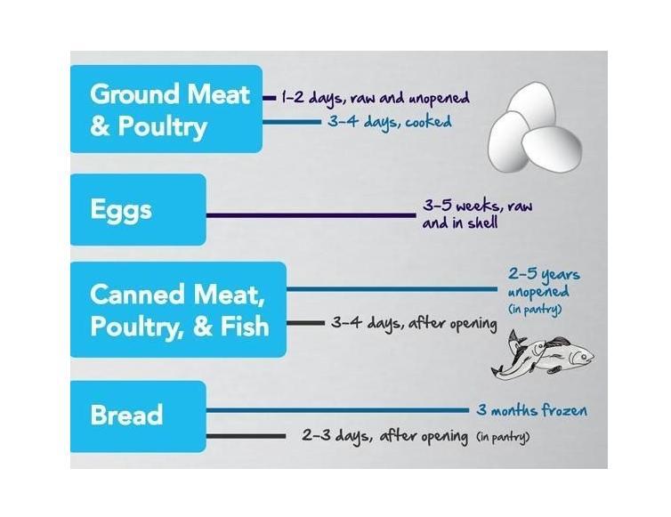 How Long Food Lasts