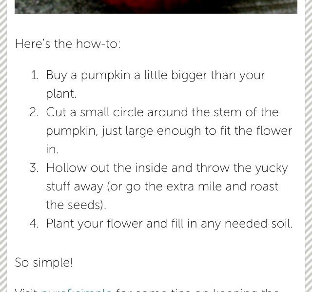 Flower Pot Pumpkin