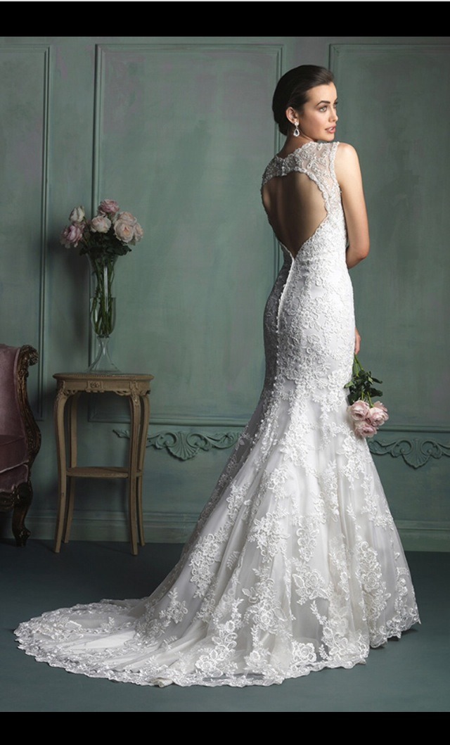 Beautiful Wedding Dresses UNDER $500! π #tipit