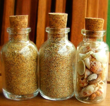 Collect sand from each state and layer it in a jar then tape a piece of paper on saying where its from. This is a fun way to keep track.