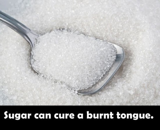 Everyday Life Tips! 