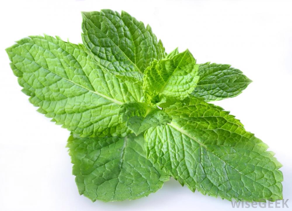 Drink/smell peppermint tea!
