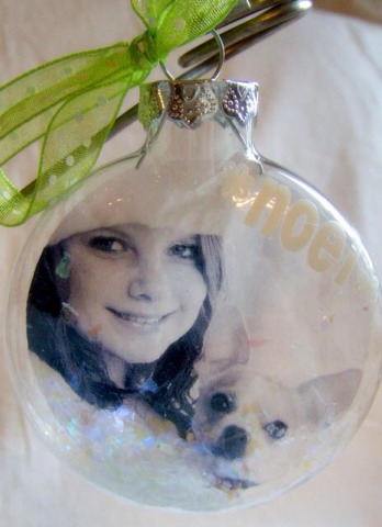 Photo Ornament Idea Using Clear Bulb 🎄