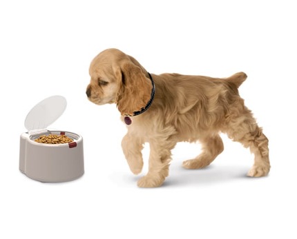 #14	 A microchip-activated pet food