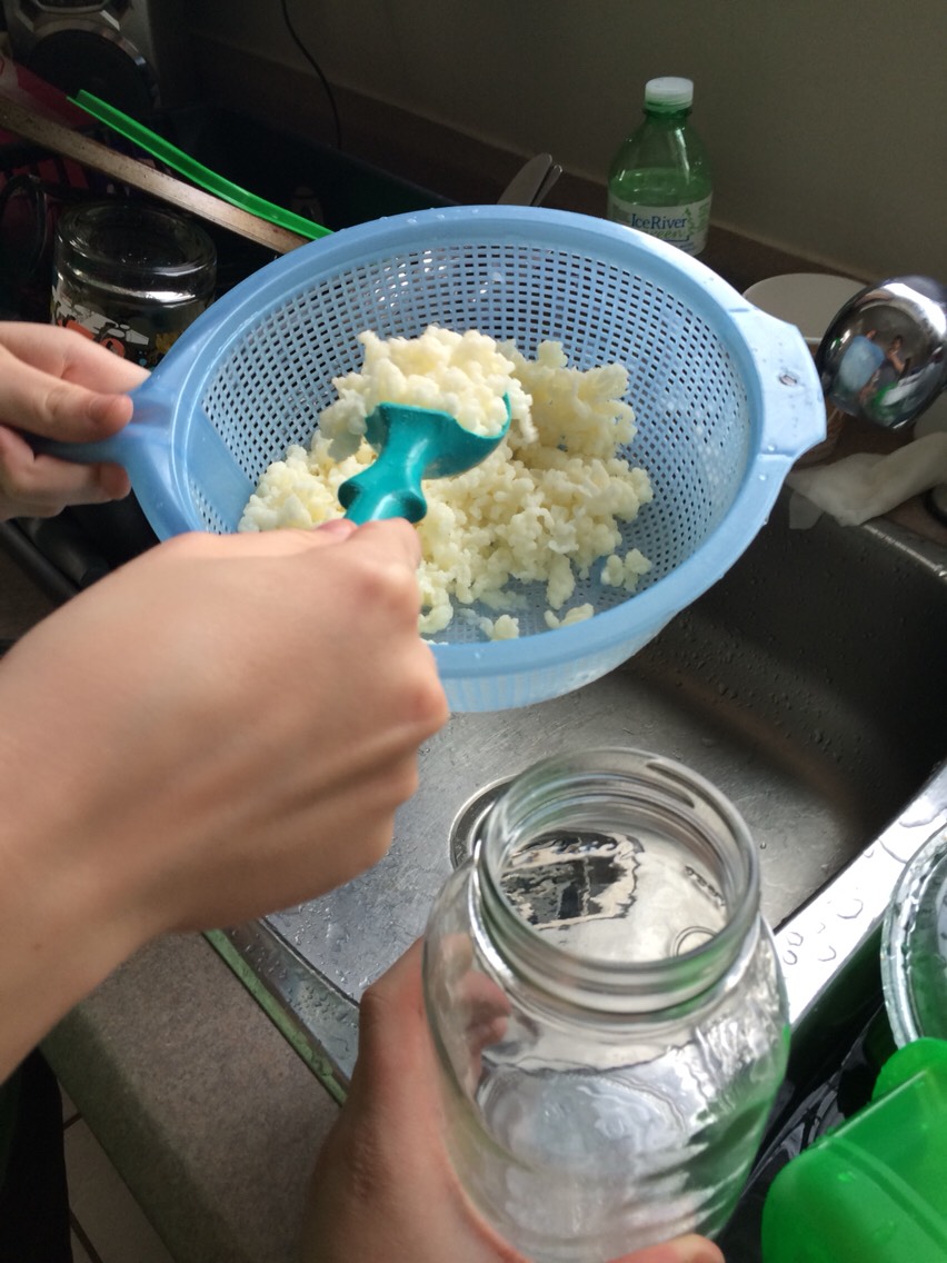 Step 9: Clean out your container and place the clean mushrooms back into your container before repeating the first steps over again. 