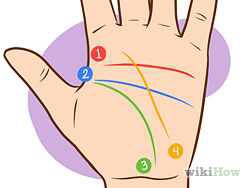2⃣..Identify the four major lines. There may be breaks in them or they may be short, but at least three of them are there.

➡️(1) The heart line
➡️(2) The head line
➡️(3) The life line
➡️(4) The fate line (only some people have this).