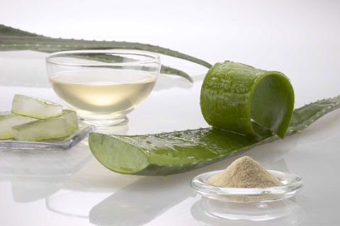 10. Aloe Vera is a commonly used natural remedy to cure acne scars. The Aloe Vera plants are famous for their magically ability to help heal scars and wounds. The juice of the Aloe Vera is very useful for helping to heal acne scars as well as to fight breakouts when they do occur.