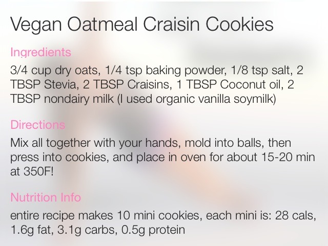 Vegan Oatmeal Craisin Cookies