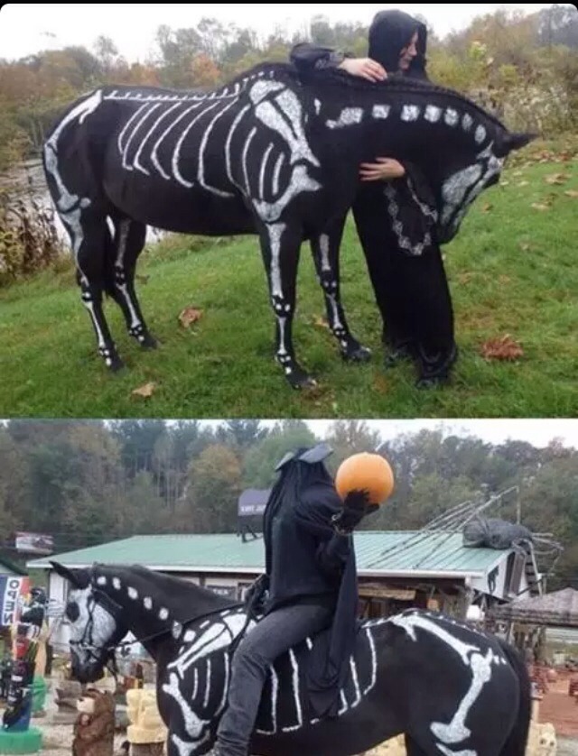 Cute And Cool  Halloween Makeup And Costumes For Everyone Even Pets