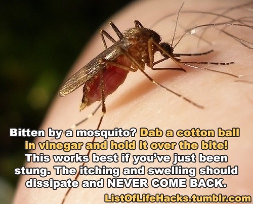 Summer Hacks