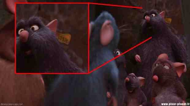 It was on a tag on one of the rats in "Ratatouille."