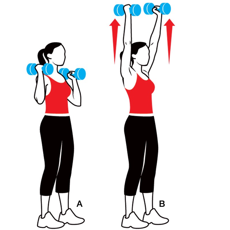 3. Then do 15 shoulder presses

~If you are only a beginner, use smaller weights  from 1kg-6kg. Then work your way up to more! You could even use bags of sugar or flour or water bottles. Afterwards, you can work your way up to heavier dumbbells.