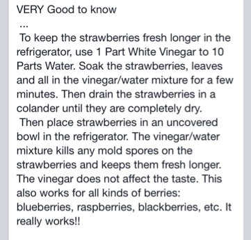 How To Keep Strawberries Fresh Longer