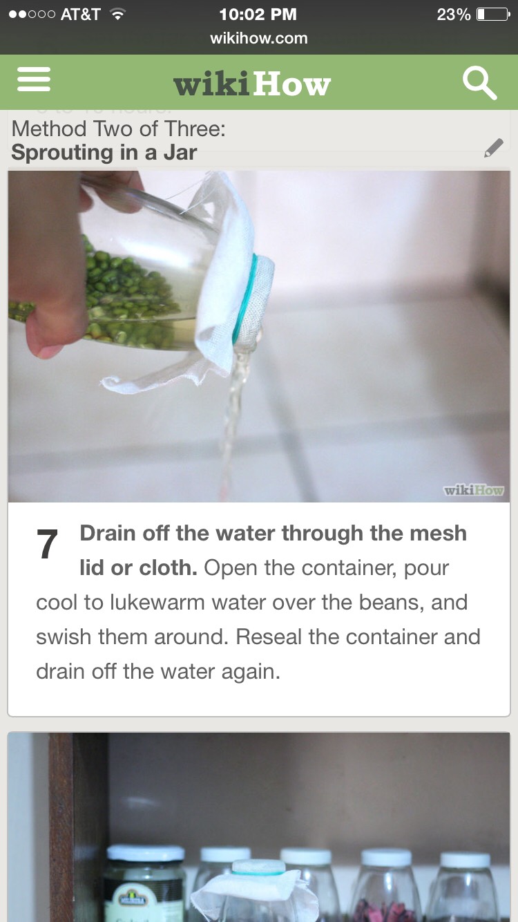 Grow Your Own Mung Sprouts- Super Easy, Super Fast, And Super Healthy! 