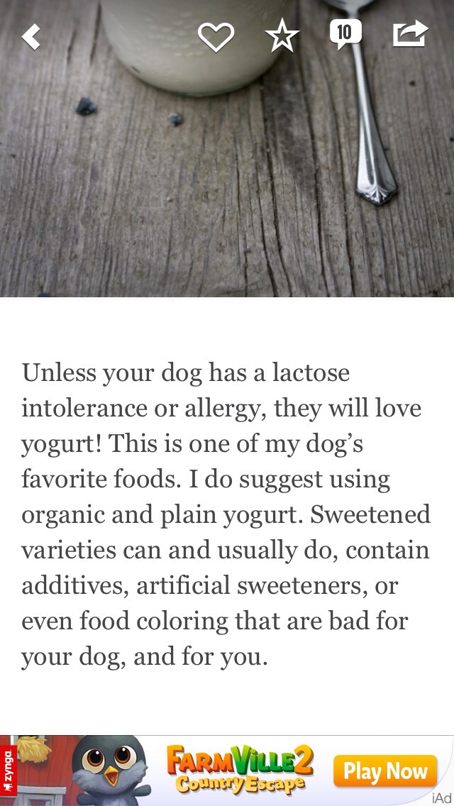 7 Puppy Friendly & Healthy Foods