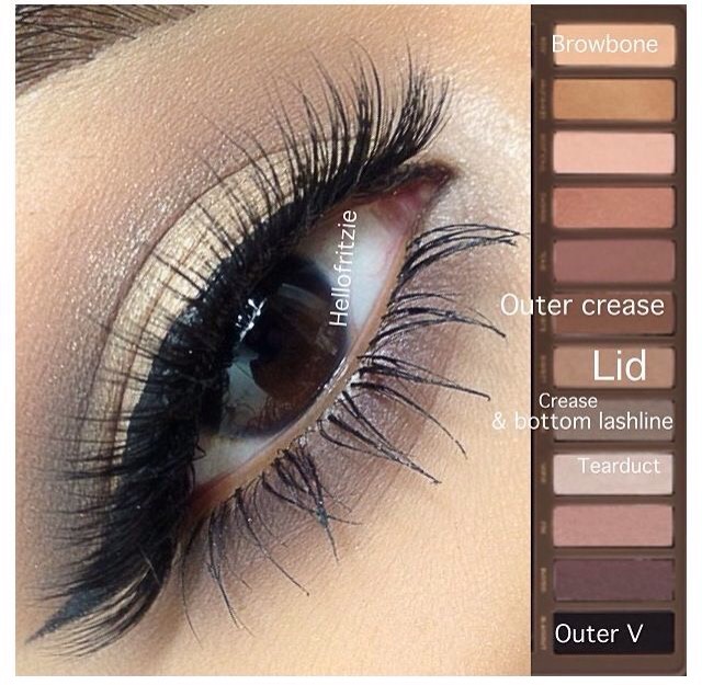 Eyeshadow Makeup Tutorial