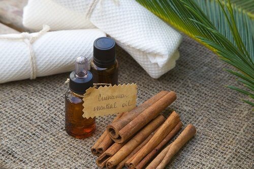 HOW TO GET RID OF CELLULITE USING CINNAMON