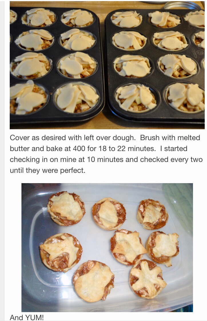 Yummy Mini Apple Pies 