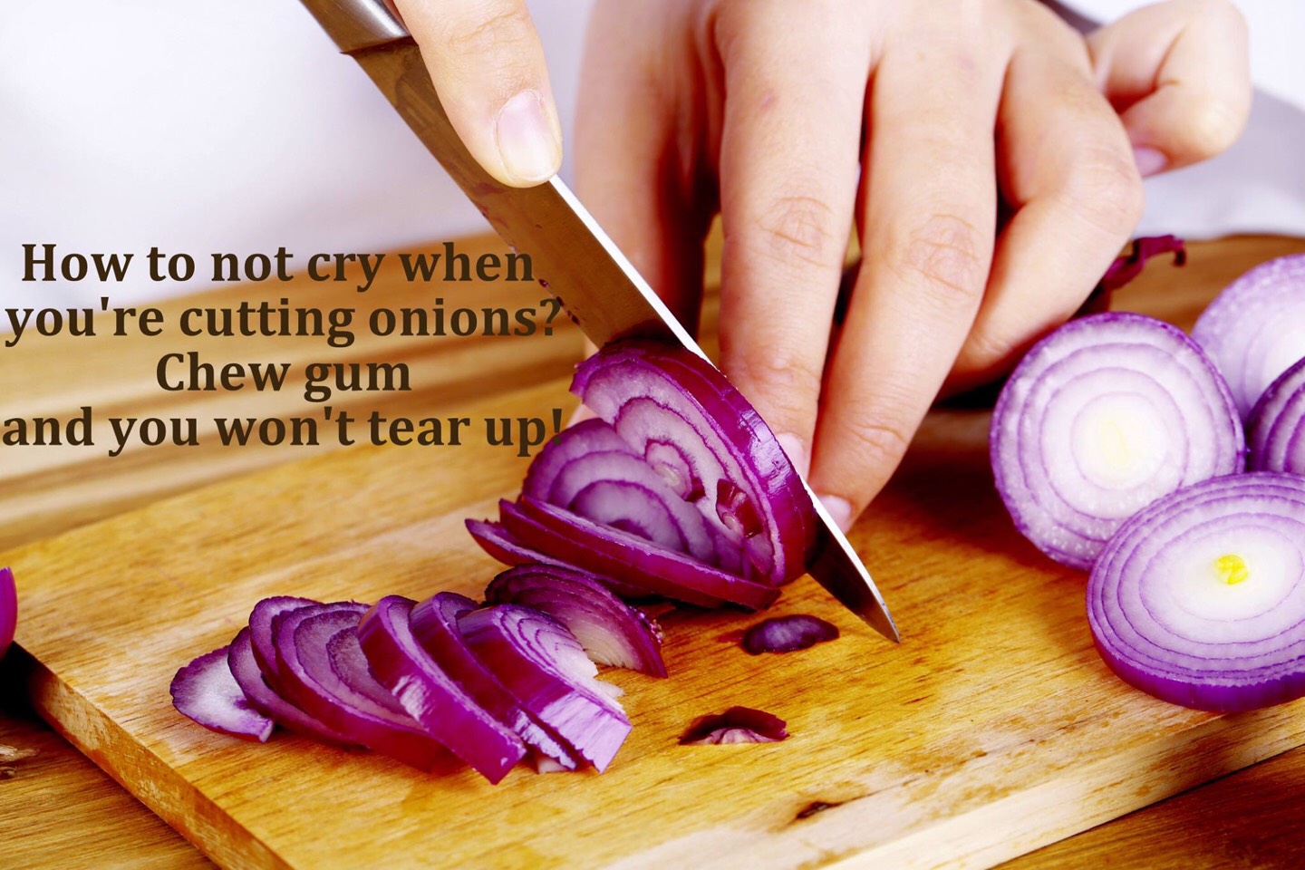 Fun Food Facts. 😊