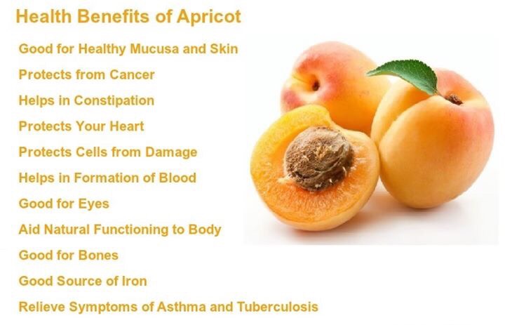 Health Benefits Of Super Healthy Fruits. 
