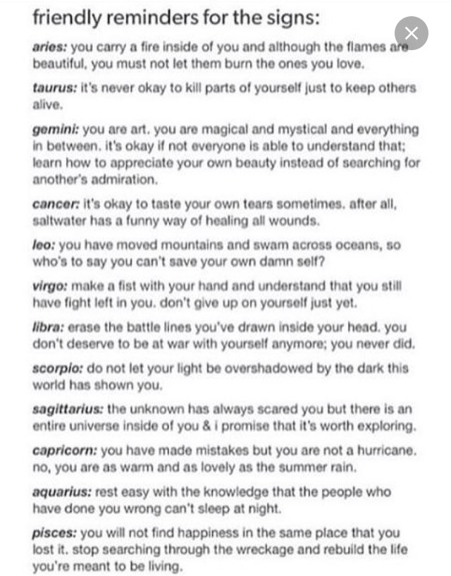 Fun Horoscopes! 🔮🔮