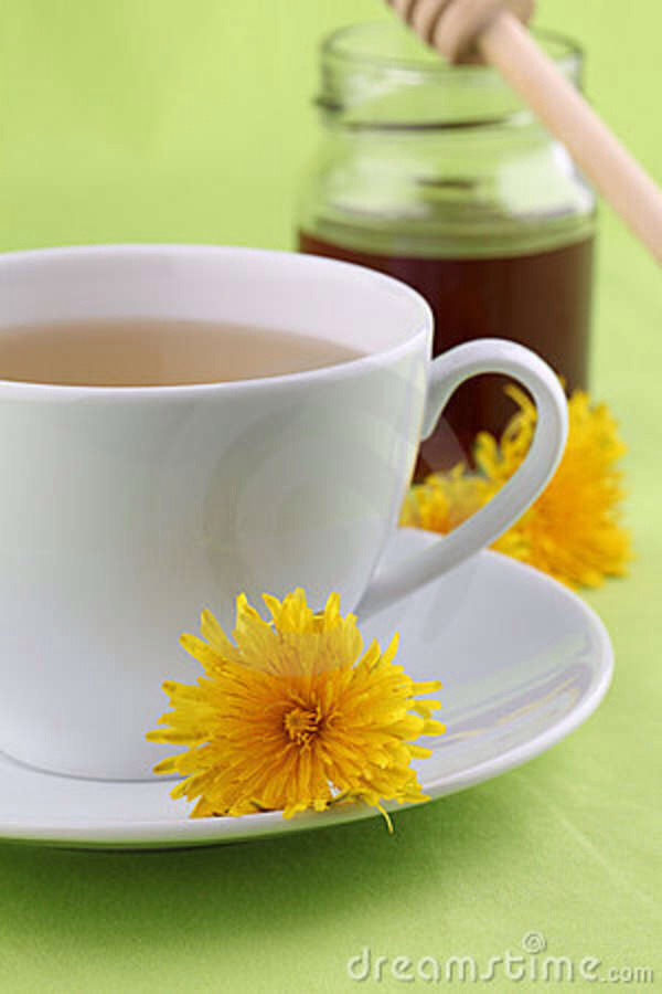 If you are looking to lose water weight in your body dandelion roots will help you,drink dandelion root tea or herbal tea which contain dandelion has ingredient.It will helps your kidneys to flush out excess fluids and sodium.