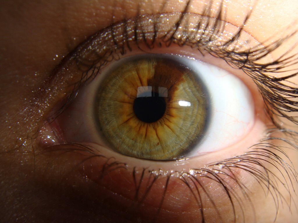 If your eyes are more hazel than brown then by wearing green eyeshadow you can make them look almost green 