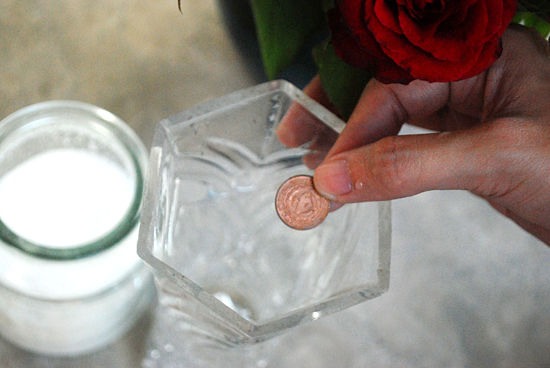 You can also put a penny and a sugar cube in the vase then add the water. It's supposed to keep bacteria from decaying the flowers. 
