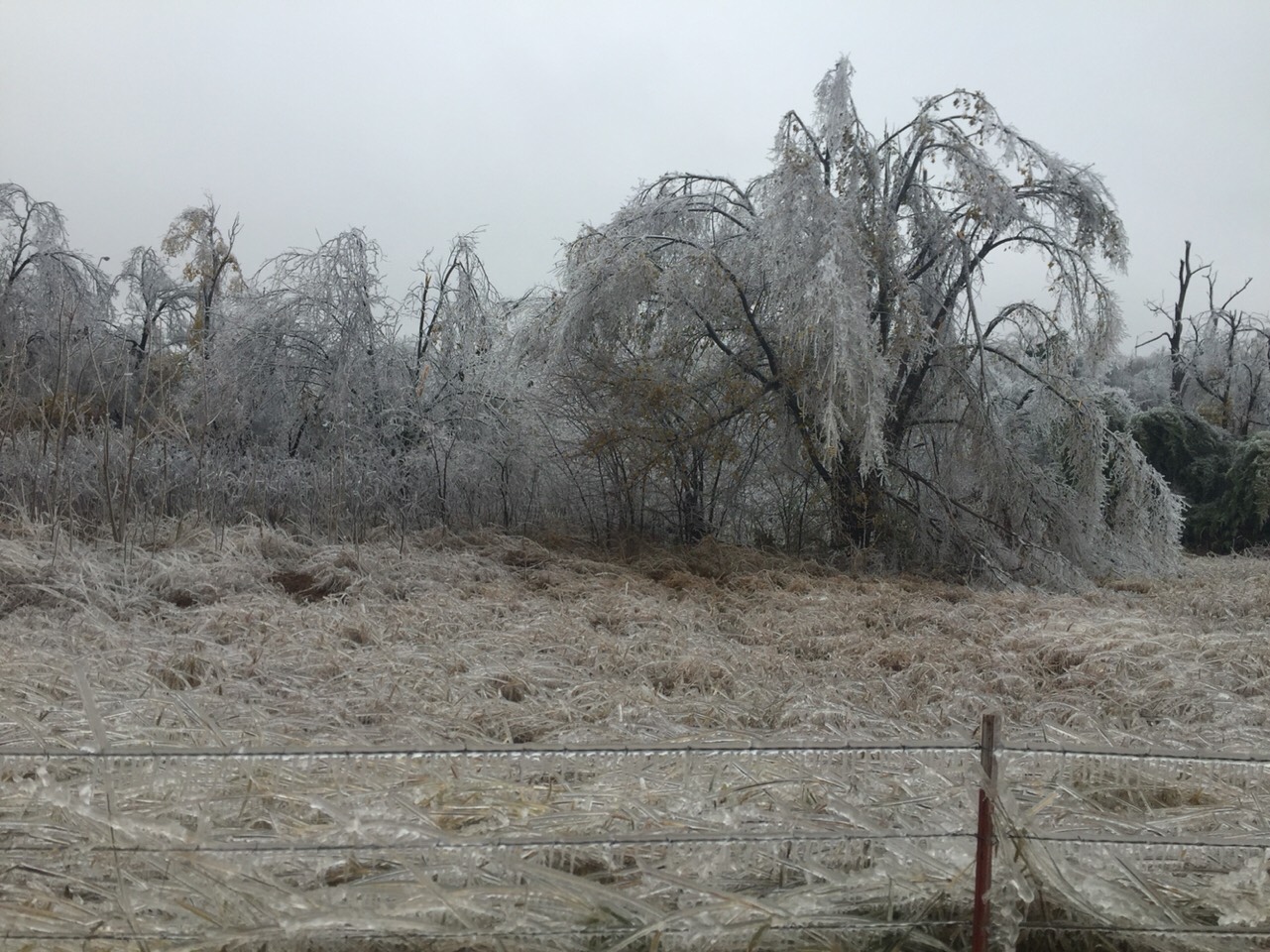 Had a winter storm in El Reno Oklahoma
