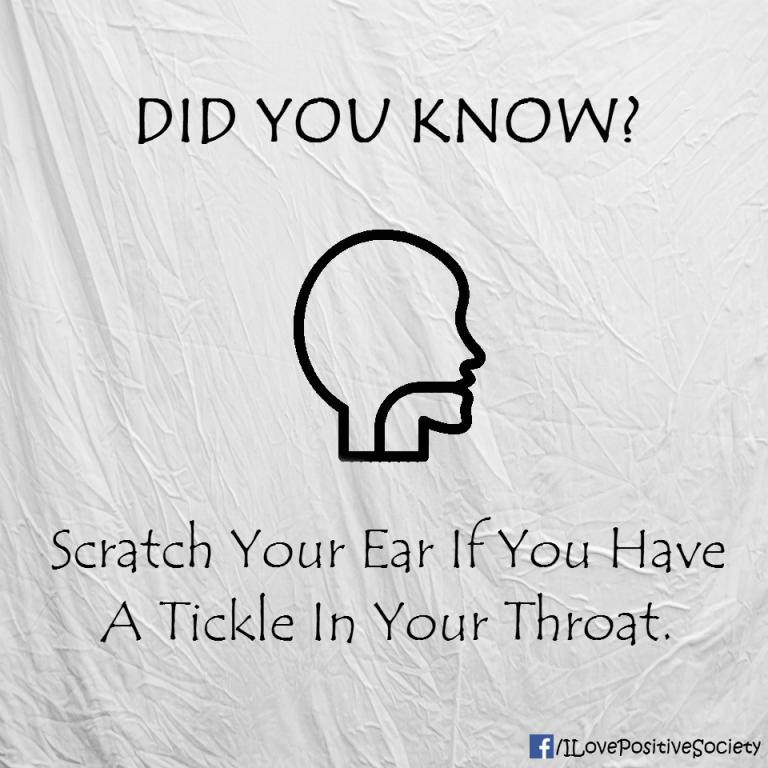 20 Amazing Body Hacks
