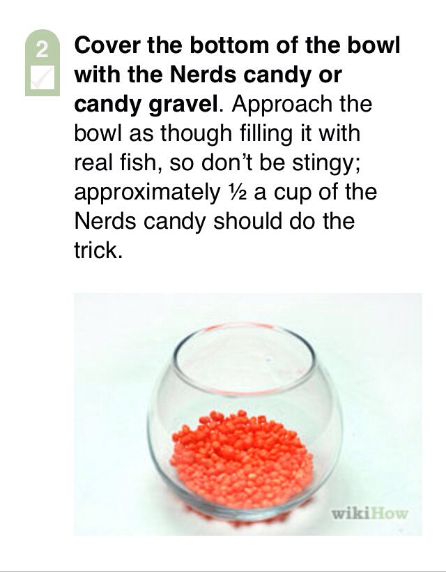 " The Fish Bowl"