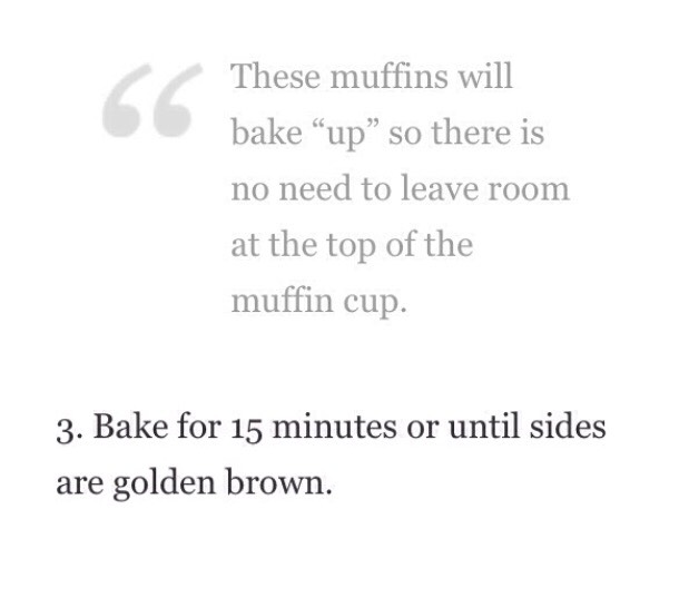 Blueberry Muffin 