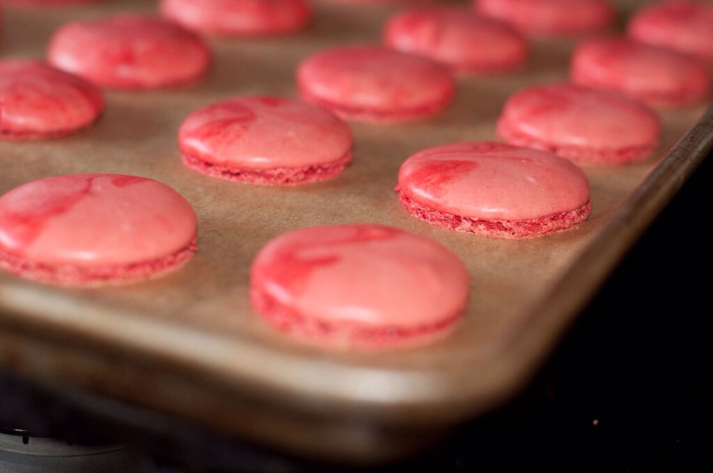 Bake cookies until set but not browned, about 10 minutes; let cookies cool completely before filling.