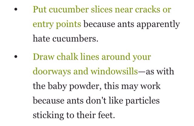 How To Get Rid Of Ants Naturally 🐜🐜🐜